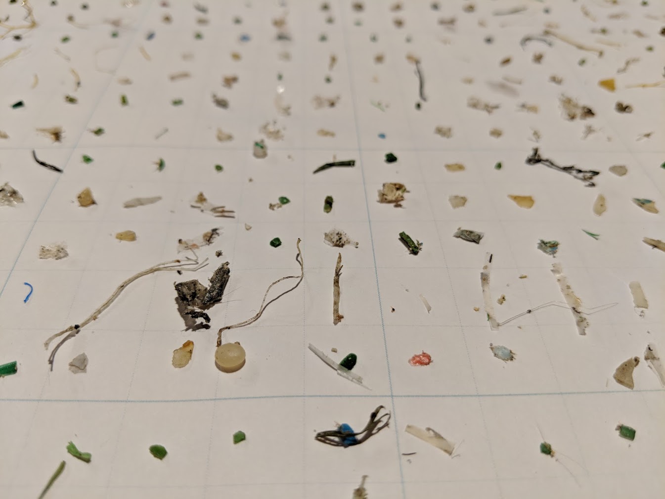 SDGs最前線(3)】東京湾のマイクロプラスチックは人工芝の破片