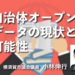 自治体オープンデータの現状と可能性(1)~オープンデータは現代の図書館となるか?~