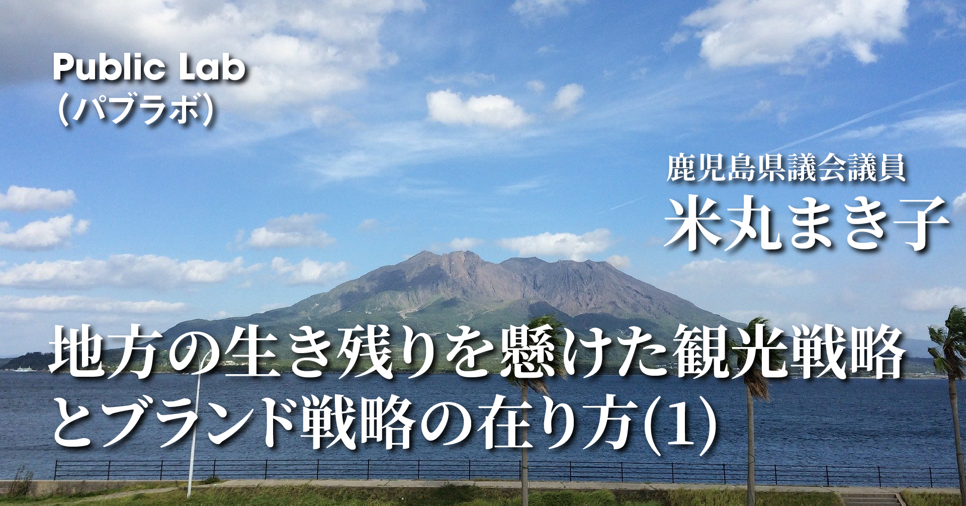 地方の生き残りを懸けた観光戦略とブランド戦略の在り方 鹿児島県のブランド戦略を通して 1 Publiclab パブラボ パブリック人材の日々の活動とキャリアを応援