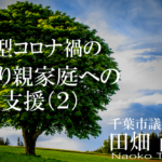 新型コロナ禍のひとり親家庭への支援(2)