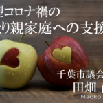 新型コロナ禍のひとり親家庭への支援(1)