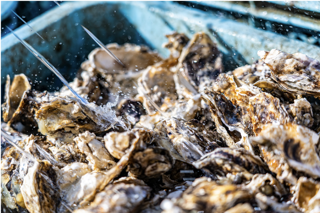 塩竈市長インタビュー記事写真‗1-1